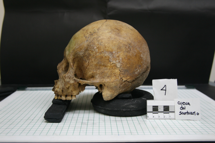 Grade 11 Introduction to Anthropology (University) copy 1